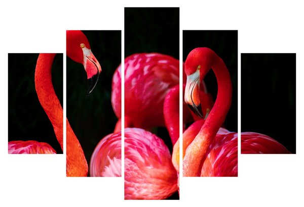 Slika crvenih flaminga (150x105 cm)