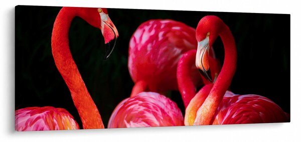 Slika crvenih flaminga (120x50 cm)