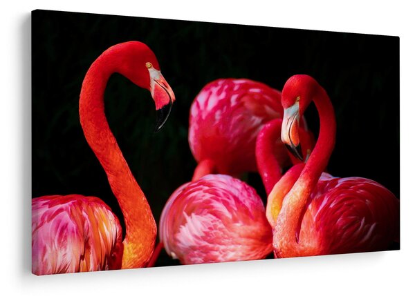 Slika crvenih flaminga (90x60 cm)