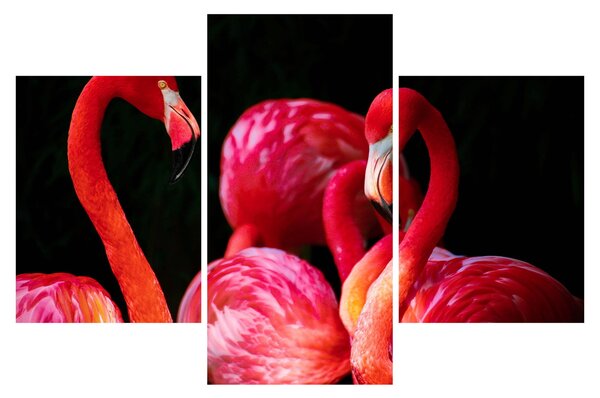 Slika crvenih flaminga (90x60 cm)