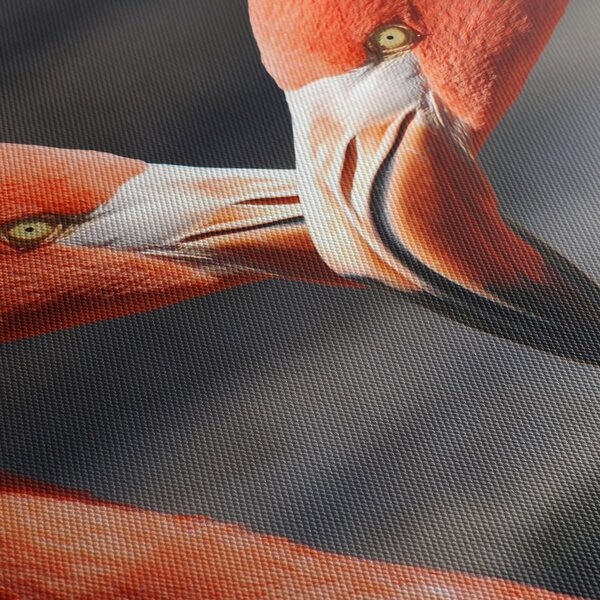 Slika dva zaljubljena flaminga (120x50 cm)