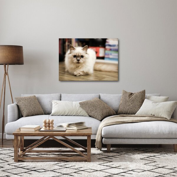 Slika bijele mačke (70x50 cm)