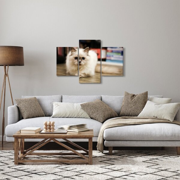 Slika bijele mačke (90x60 cm)