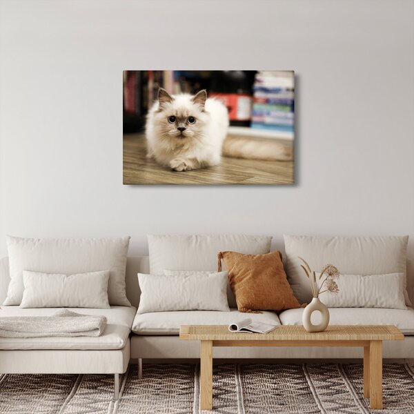 Slika bijele mačke (90x60 cm)