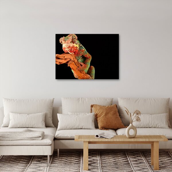 Slika kameleona na grani (70x50 cm)