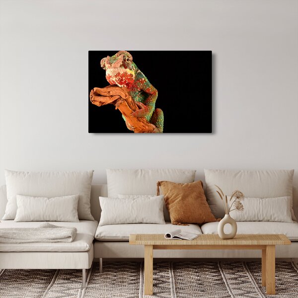 Slika kameleona na grani (90x60 cm)