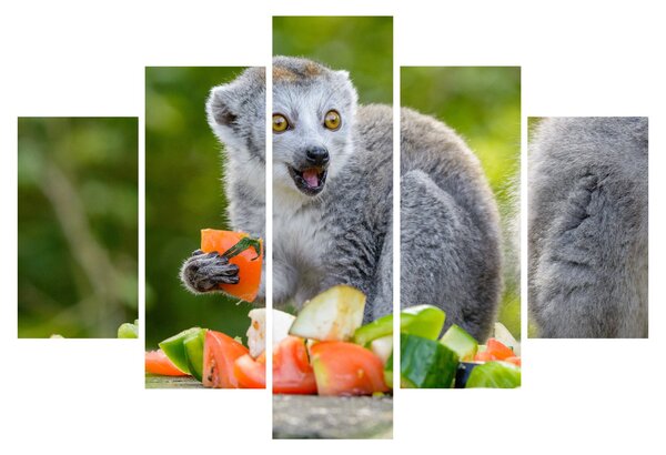 Slika lemura (150x105 cm)