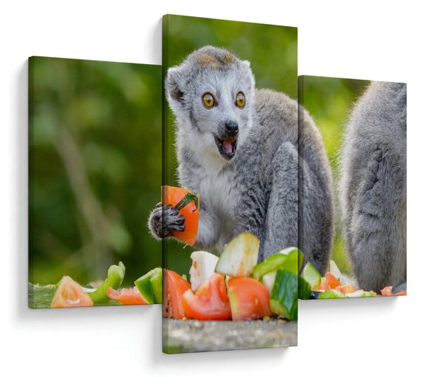 Slika lemura (90x60 cm)