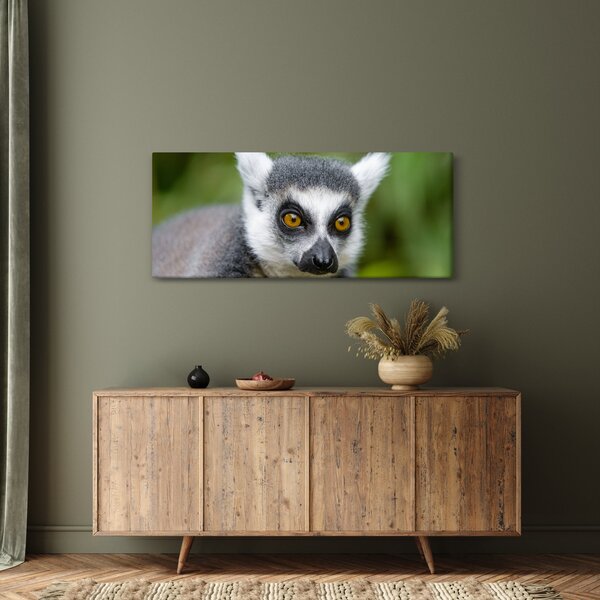 Slika lemura (120x50 cm)