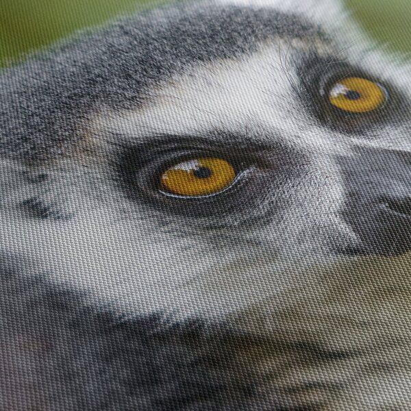 Slika lemura (70x50 cm)