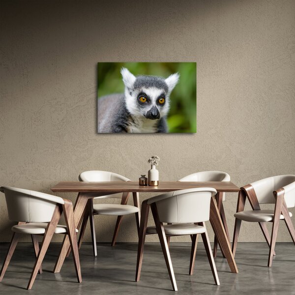 Slika lemura (70x50 cm)