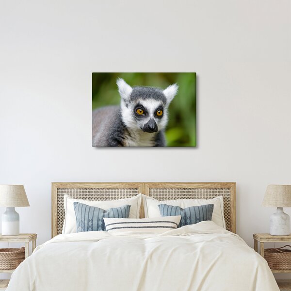Slika lemura (70x50 cm)