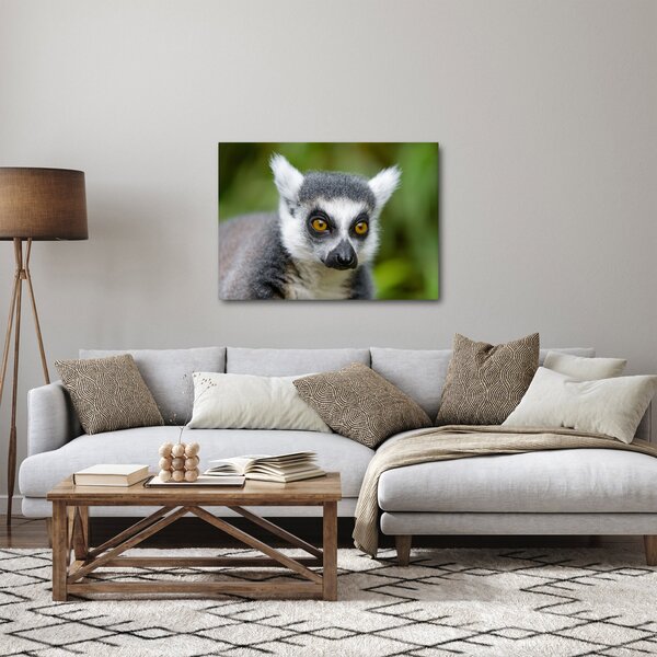 Slika lemura (70x50 cm)