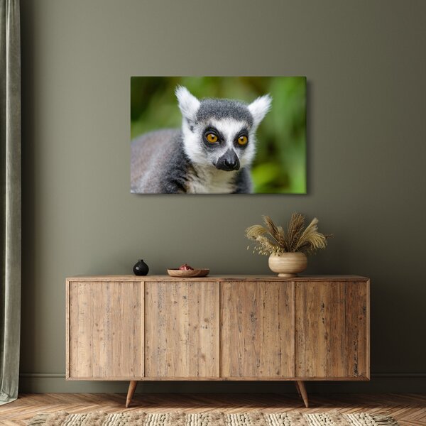 Slika lemura (90x60 cm)