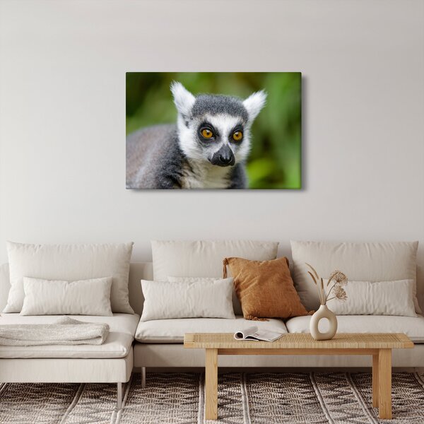 Slika lemura (90x60 cm)