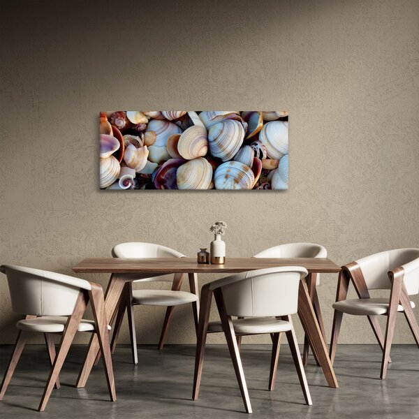 Slika školjki (120x50 cm)