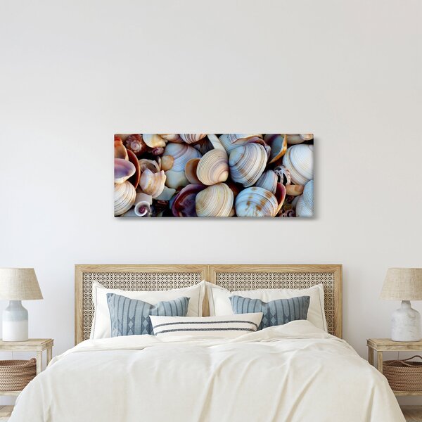 Slika školjki (120x50 cm)