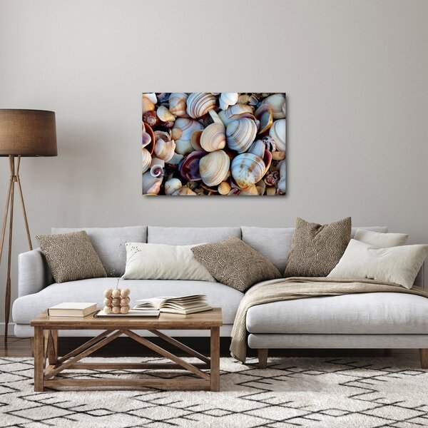 Slika školjki (70x50 cm)