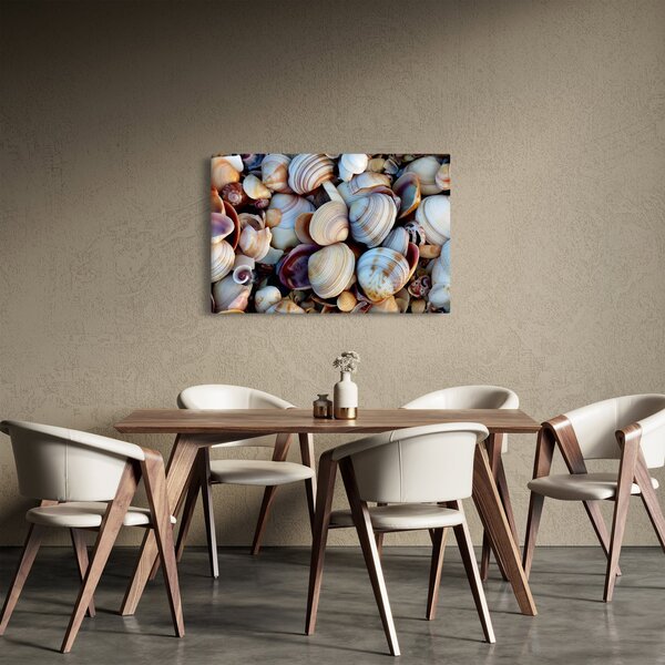 Slika školjki (90x60 cm)