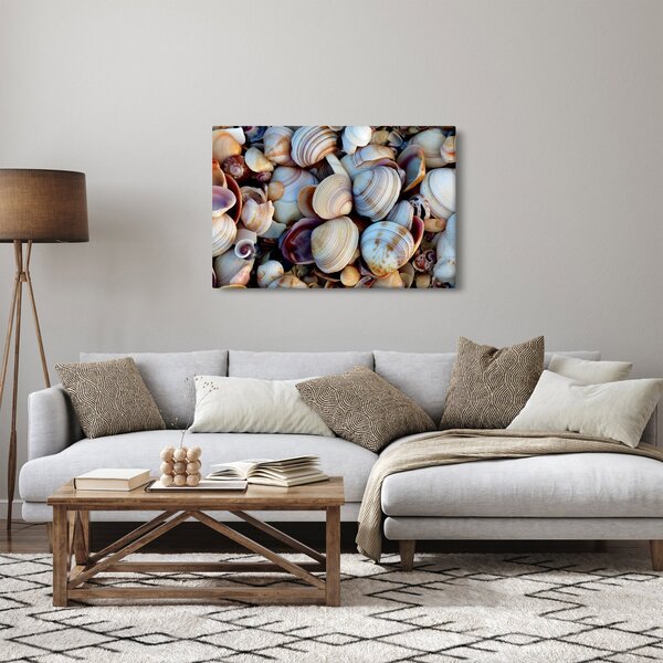 Slika školjki (90x60 cm)
