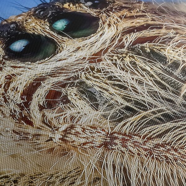 Slika detalja pauka (120x50 cm)