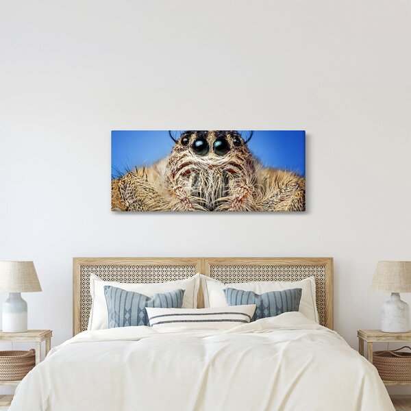 Slika detalja pauka (120x50 cm)