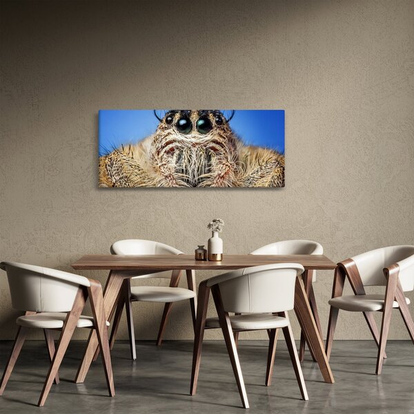 Slika detalja pauka (120x50 cm)