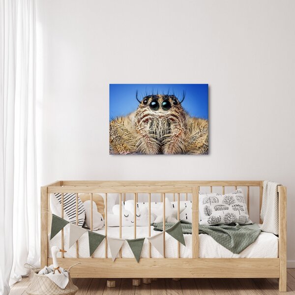 Slika detalja pauka (70x50 cm)