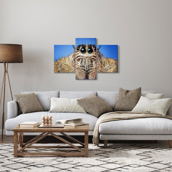 Slika detalja pauka (90x60 cm)