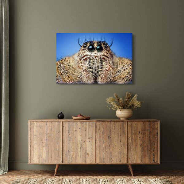 Slika detalja pauka (90x60 cm)