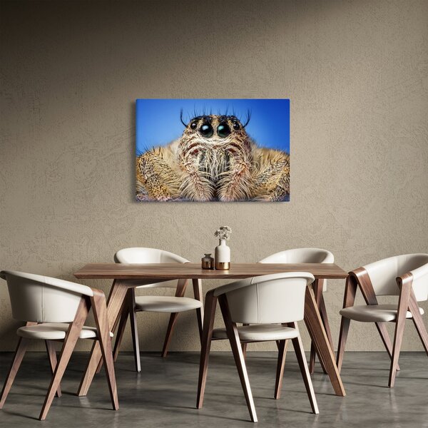 Slika detalja pauka (90x60 cm)
