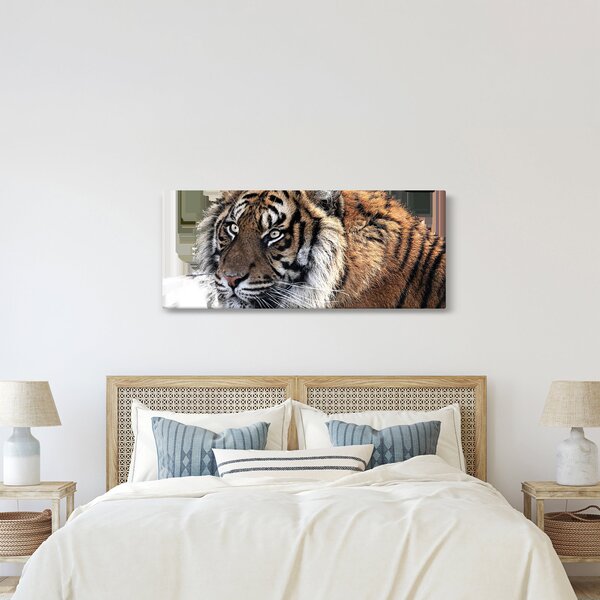 Slika tigra (120x50 cm)
