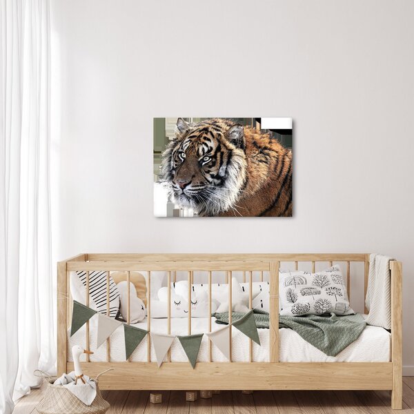 Slika tigra (70x50 cm)