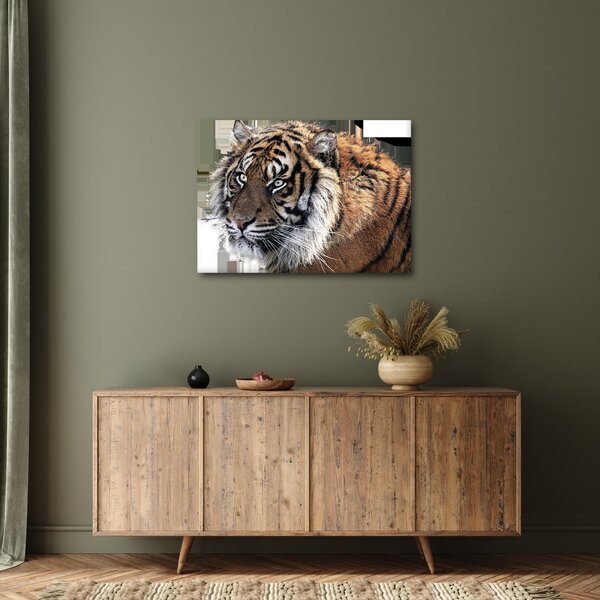 Slika tigra (70x50 cm)