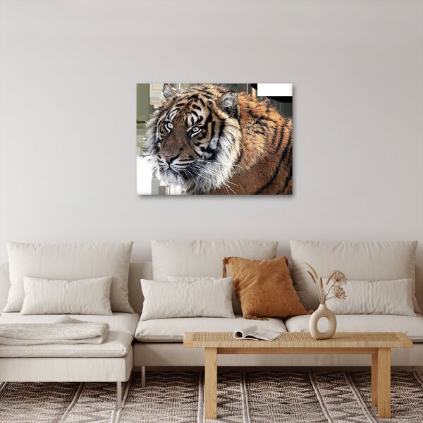 Slika tigra (70x50 cm)