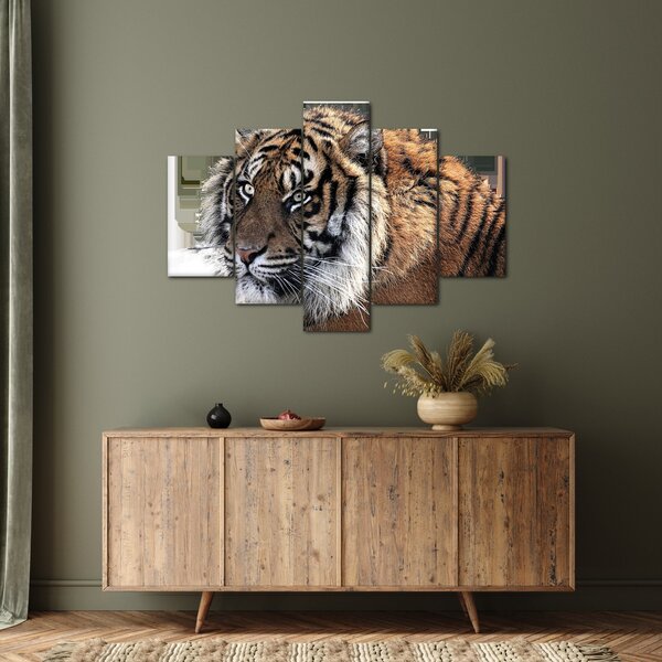 Slika tigra (150x105 cm)