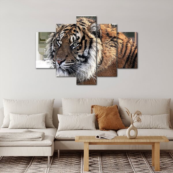 Slika tigra (150x105 cm)