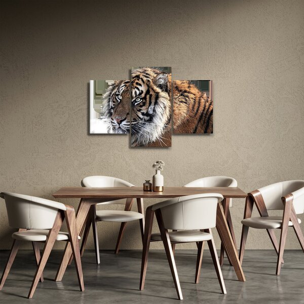 Slika tigra (90x60 cm)
