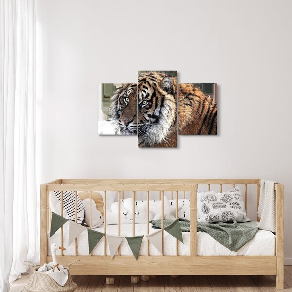 Slika tigra (90x60 cm)