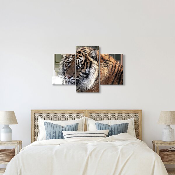Slika tigra (90x60 cm)