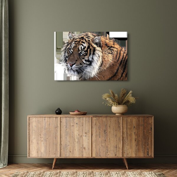 Slika tigra (90x60 cm)