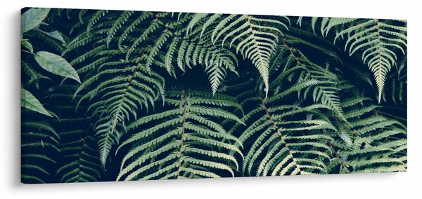 Slika lišća paprati (120x50 cm)