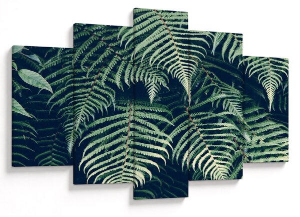 Slika lišća paprati (150x105 cm)