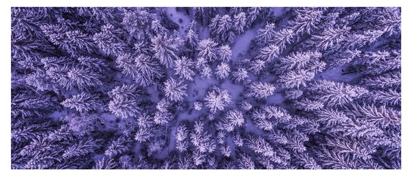 Slika snježnih stabala (120x50 cm)