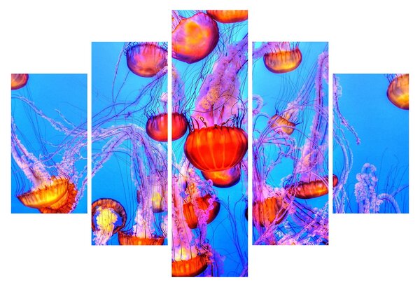 Slika meduza u moru (150x105 cm)