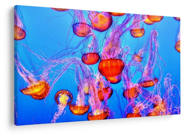 Slika meduza u moru (90x60 cm)