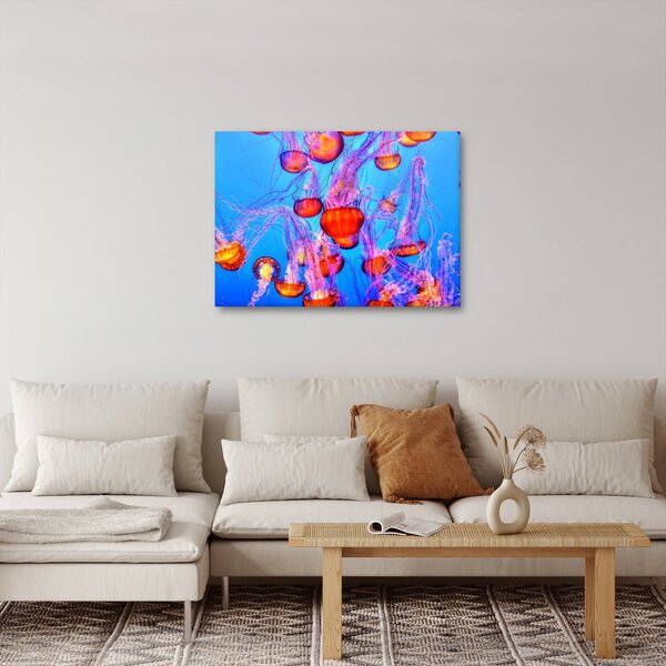 Slika meduza u moru (70x50 cm)