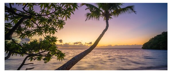 Slika palme na plaži (120x50 cm)