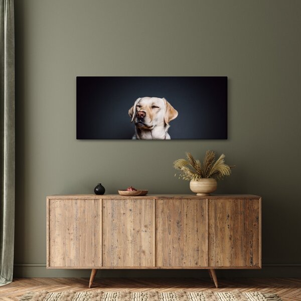 Slika labradora (120x50 cm)