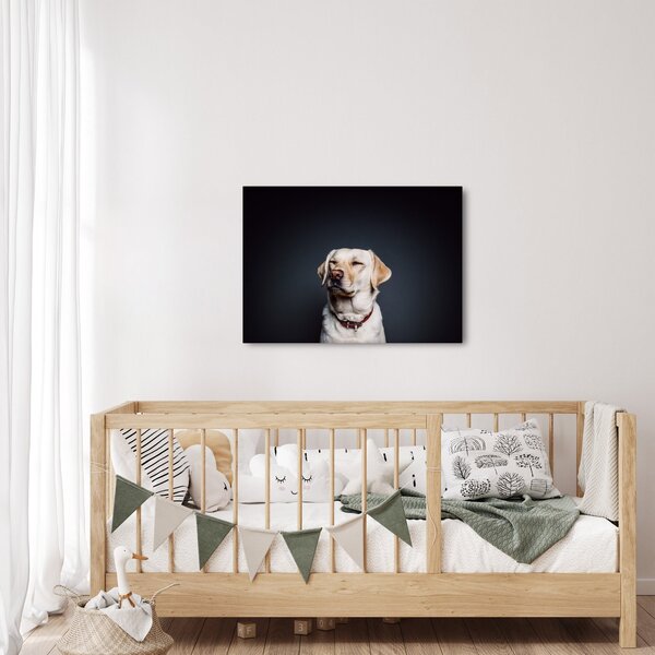 Slika labradora (70x50 cm)